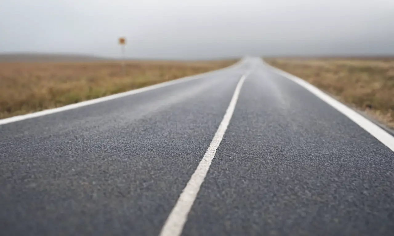 Un camino desvanecido